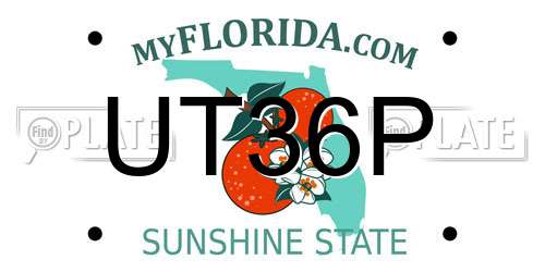 UT36P Florida License Plate