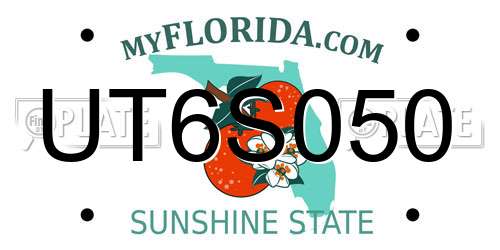 UT6S050 Florida License Plate