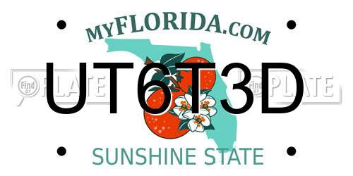 UT6T3D Florida License Plate