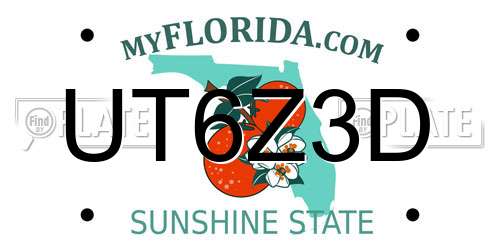 UT6Z3D Florida License Plate