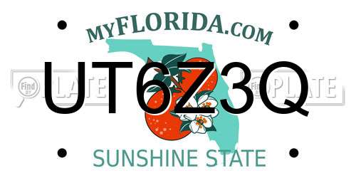 UT6Z3Q Florida License Plate