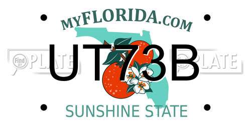 UT73B Florida License Plate