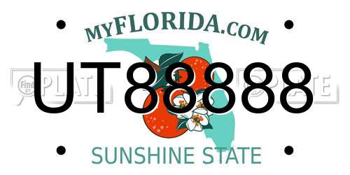 UT88888 Florida License Plate