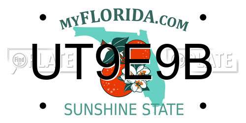 UT9E9B Florida License Plate