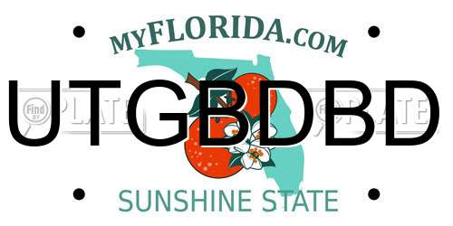 UTGBDBD Florida License Plate
