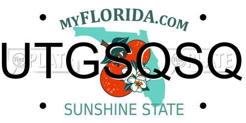 UTGSQSQ Florida License Plate