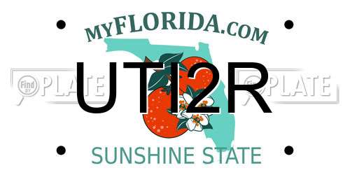 UTI2R Florida License Plate