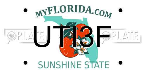 UTI3F Florida License Plate
