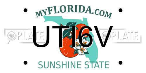 UTI6V Florida License Plate
