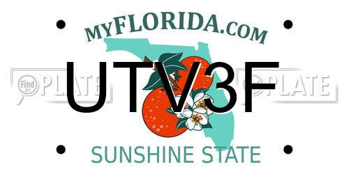 UTV3F Florida License Plate