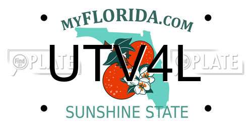 UTV4L Florida License Plate