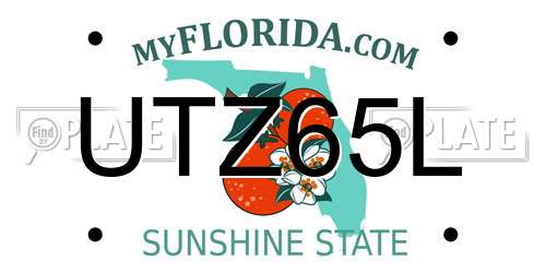 UTZ65L Florida License Plate