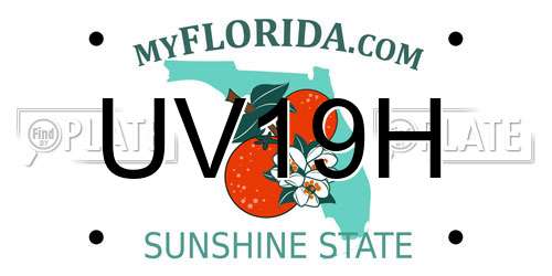 UV19H Florida License Plate