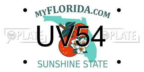 UV54 Florida License Plate