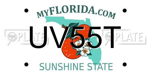 UV55T Florida License Plate