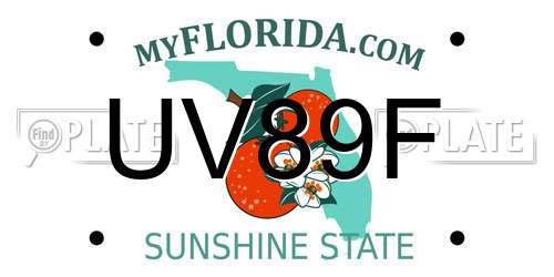 UV89F Florida License Plate