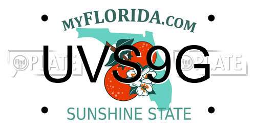 UVS9G Florida License Plate