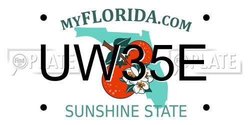 UW35E Florida License Plate
