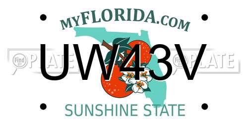 UW43V Florida License Plate