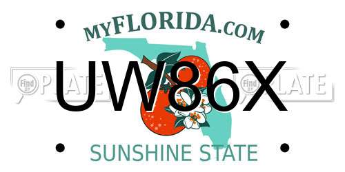 UW86X Florida License Plate