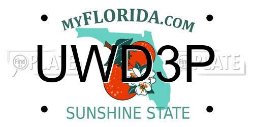 UWD3P Florida License Plate
