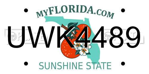 UWK4489 Florida License Plate