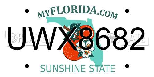 UWX8682 Florida License Plate