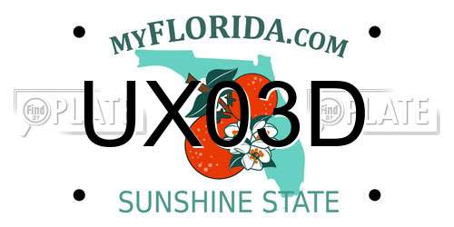 UX03D Florida License Plate