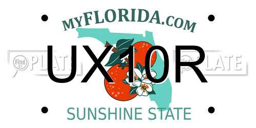 UX10R Florida License Plate