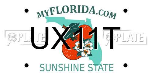 UX11T Florida License Plate