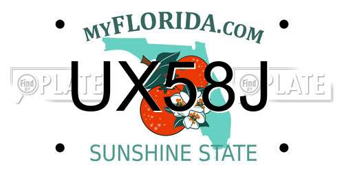 UX58J Florida License Plate