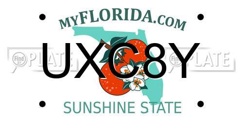 UXC8Y Florida License Plate