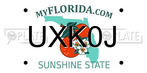 UXK0J Florida License Plate