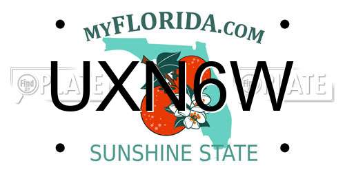 UXN6W Florida License Plate