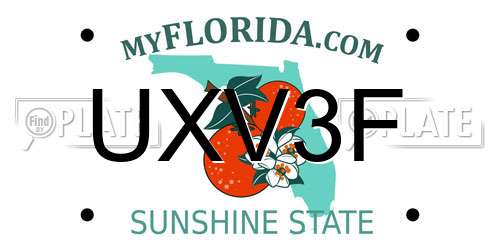 UXV3F Florida License Plate