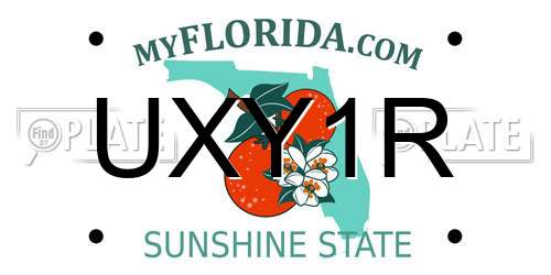 UXY1R Florida License Plate