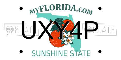UXY4P Florida License Plate