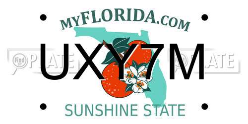 UXY7M Florida License Plate