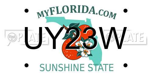UY23W Florida License Plate