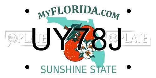 UY78J Florida License Plate