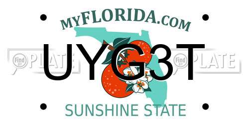 UYG3T Florida License Plate