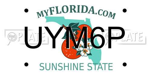 UYM6P Florida License Plate