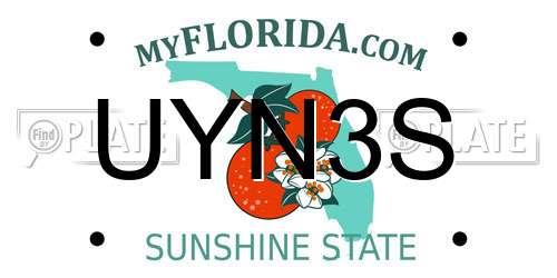 UYN3S Florida License Plate