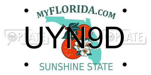 UYN9D Florida License Plate