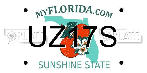 UZ17S Florida License Plate