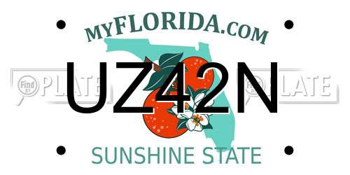 UZ42N Florida License Plate