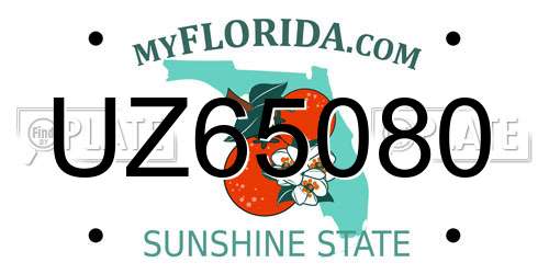 UZ65080 Florida License Plate