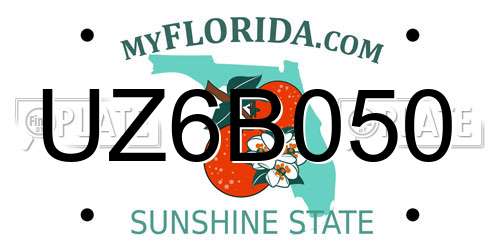 UZ6B050 Florida License Plate