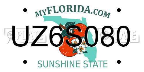 UZ6S080 Florida License Plate