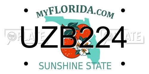 UZB224 Florida License Plate